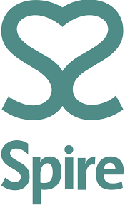Spire icon